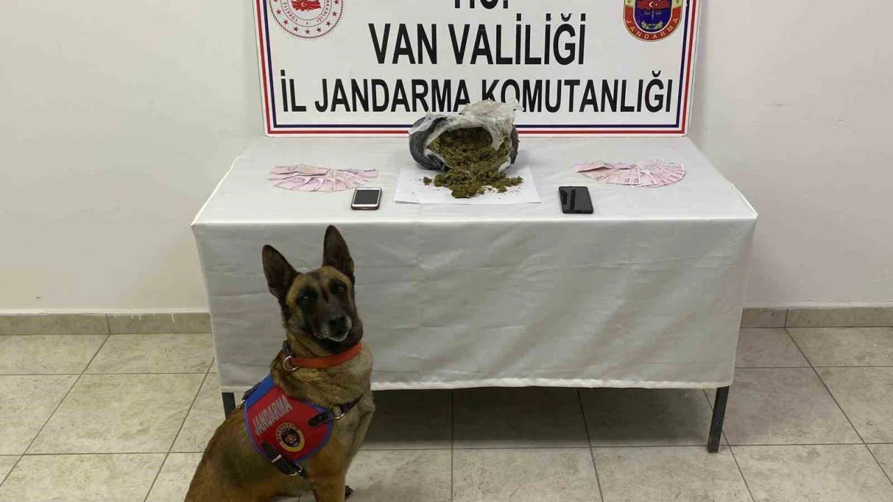 Van’da 1 kilo 64 gram skunk maddesi ele geçirildi
