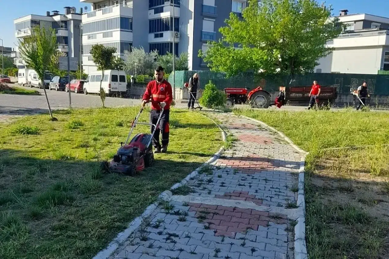 Menderes'te Ot Seferberliği