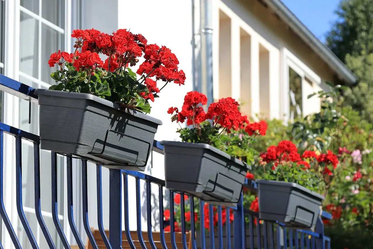 Gaziemir Belediyesi'nden En Güzel Bahçe, Balkon Ve Teras Yarışması
