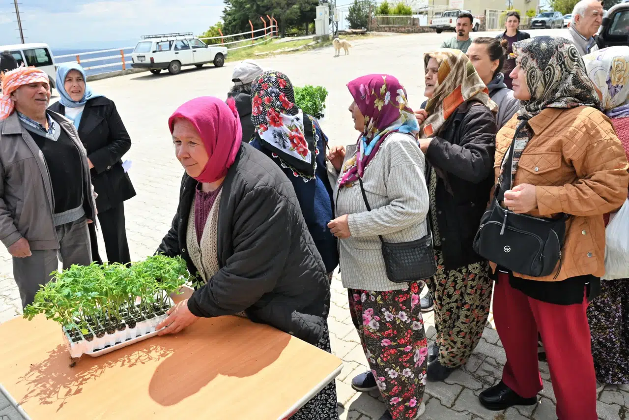 150 Bin Yazlık Sebze Fidesi Dağıtıldı