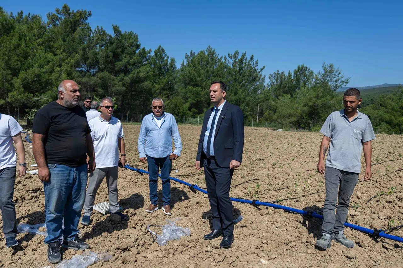 Bornova’da atıl topraklar hayat buluyor