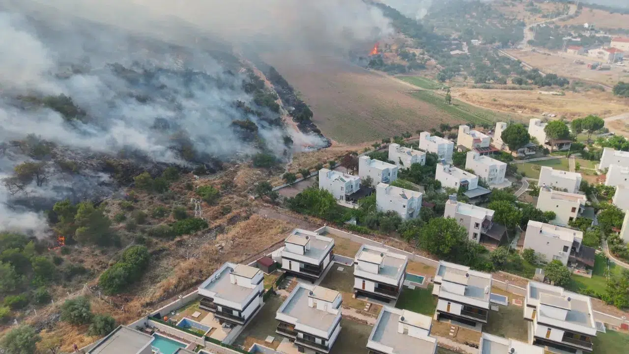 Dikili’de otluk ve zeytinlik alanda çıkan yangına müdahale sürüyor