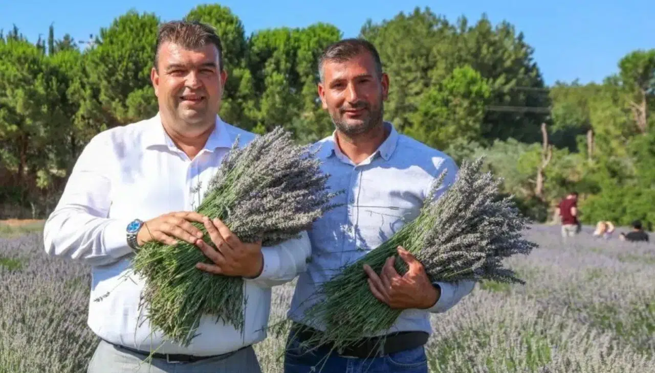 Lavanta Hasat Şenliği için geri sayım başladı