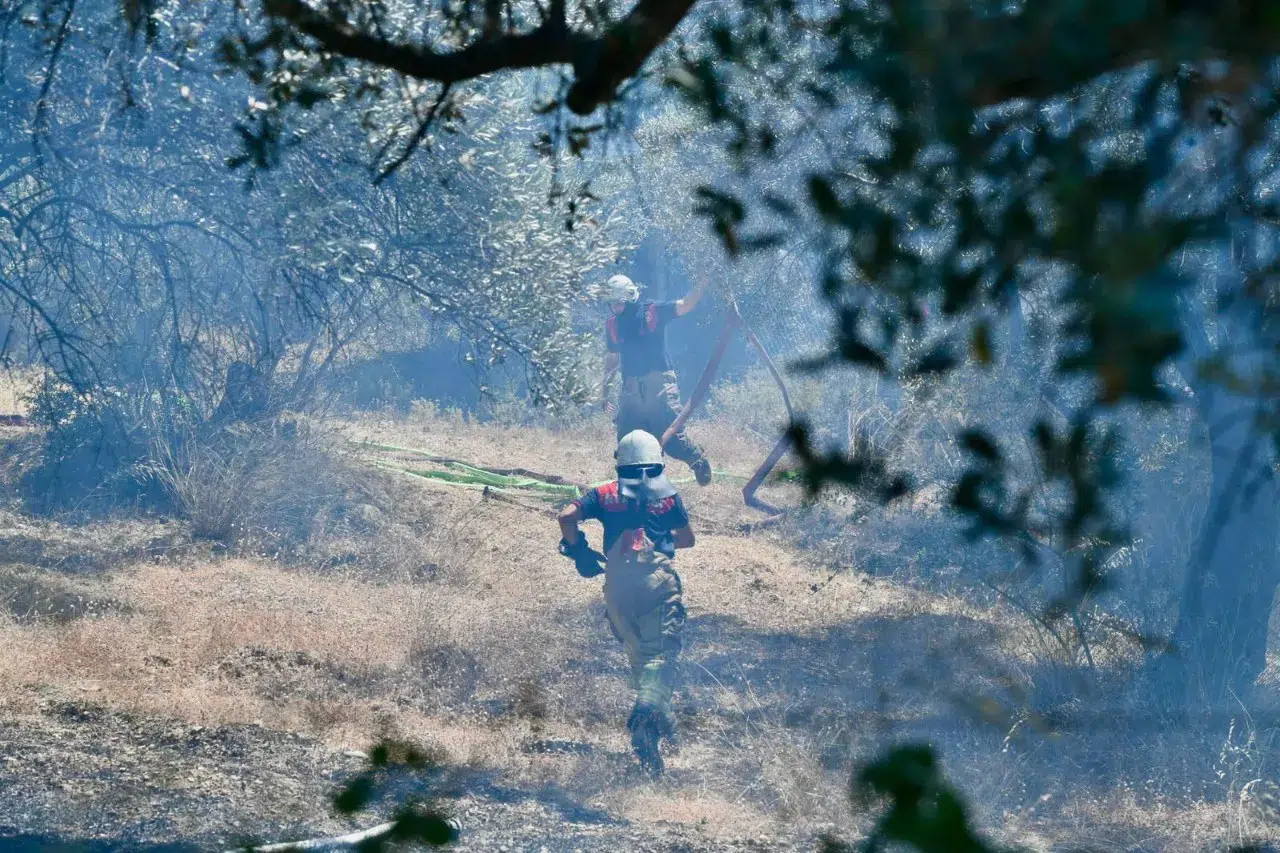 İzmir'de Alevler Kontrol Altına Alındı, Yangınla Mücadelede Koordineli Müdahale Başarı Getirdi