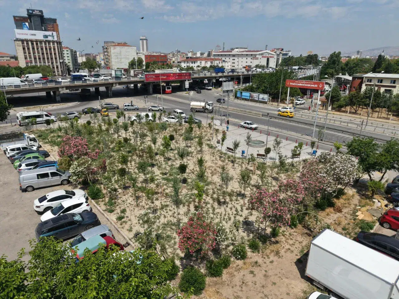 İzmir'de Mikro Orman Projesi ile yeni yeşil alan hayata geçirildi!