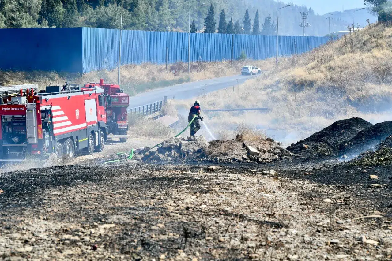 İzmir İtfaiyesi bukalemunu hayata döndürdü