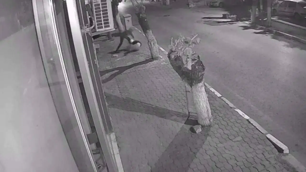 İzmir'de bıçaklı saldırganın tahliye kararı iptal edildi, yeniden tutuklandı.