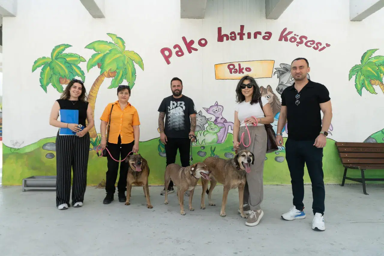 “Patili Dostlar İş Başında”