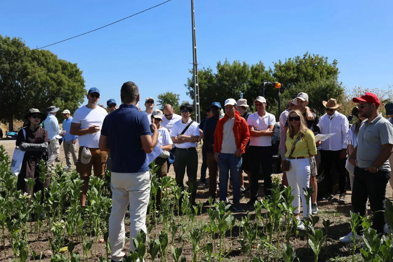 17 ülkeden uzmanlar Türk tütünü için İzmir'de buluştu