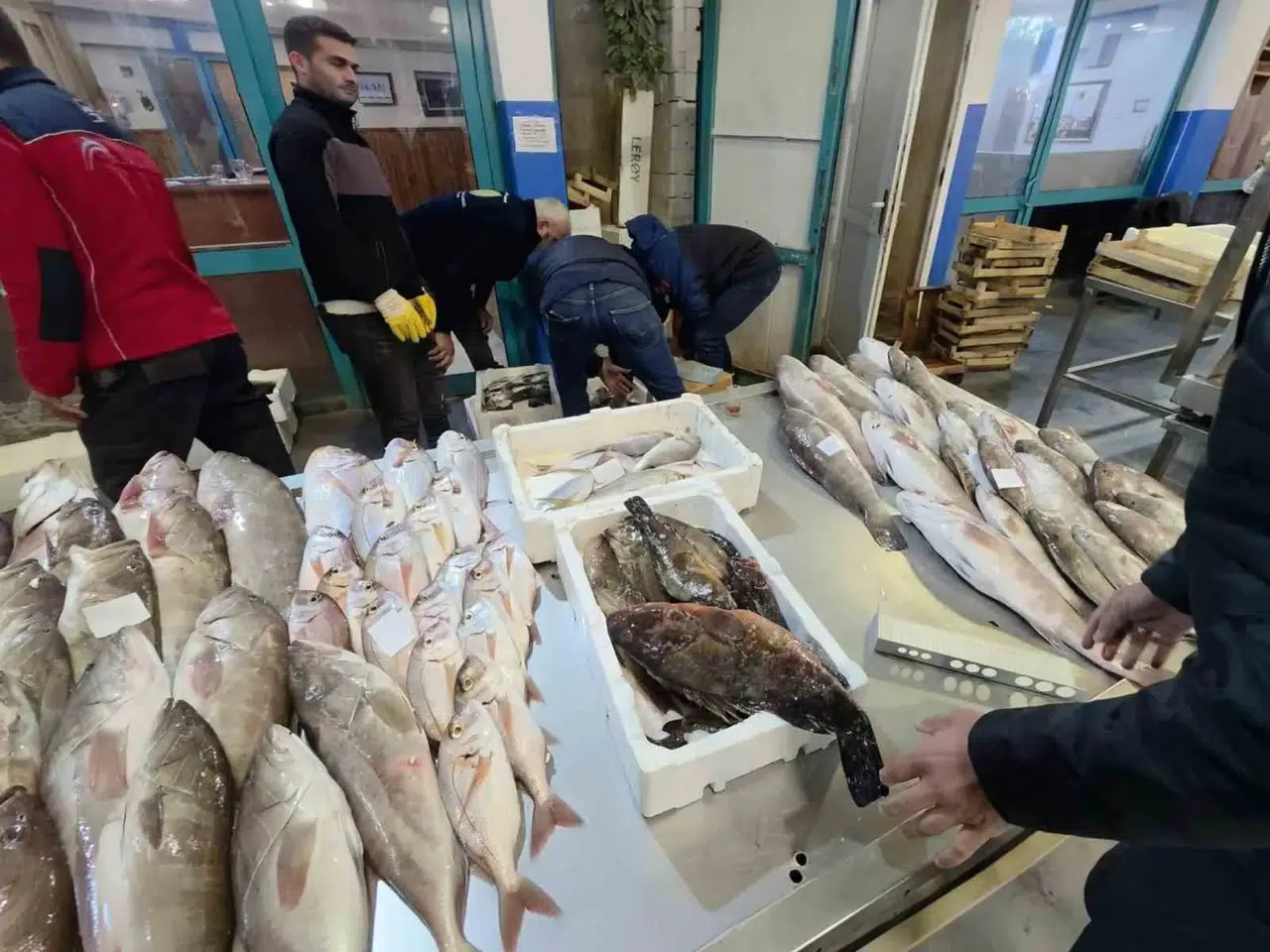 Buca'da kaçak avcılığa ağır darbe: 45 kilo balık imha edildi