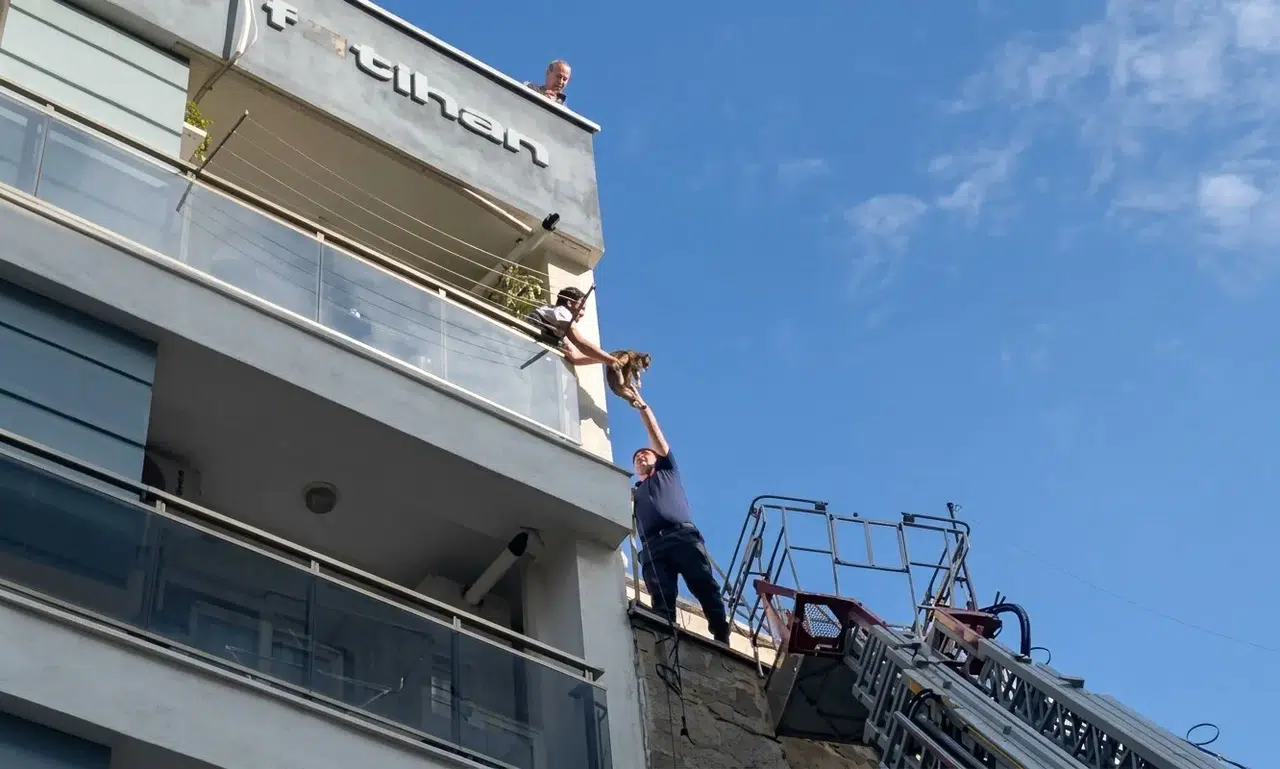 Efeler’de minik kaçak itfaiyeyi harekete geçirdi: Çatıdaki macera mutlu bitti