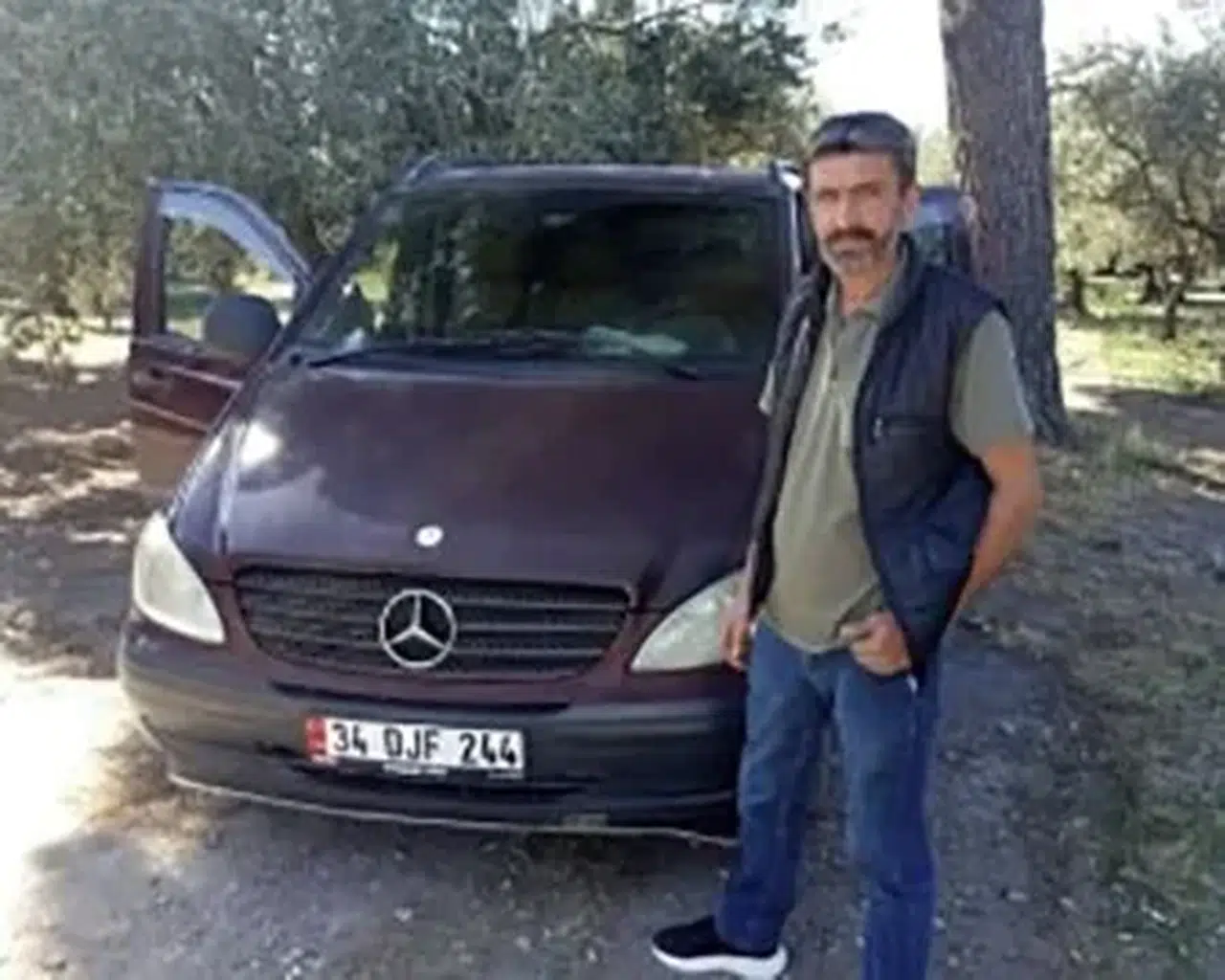Zeytin bahçesinde acı veda: Arı sokması sonucu hayatını kaybetti