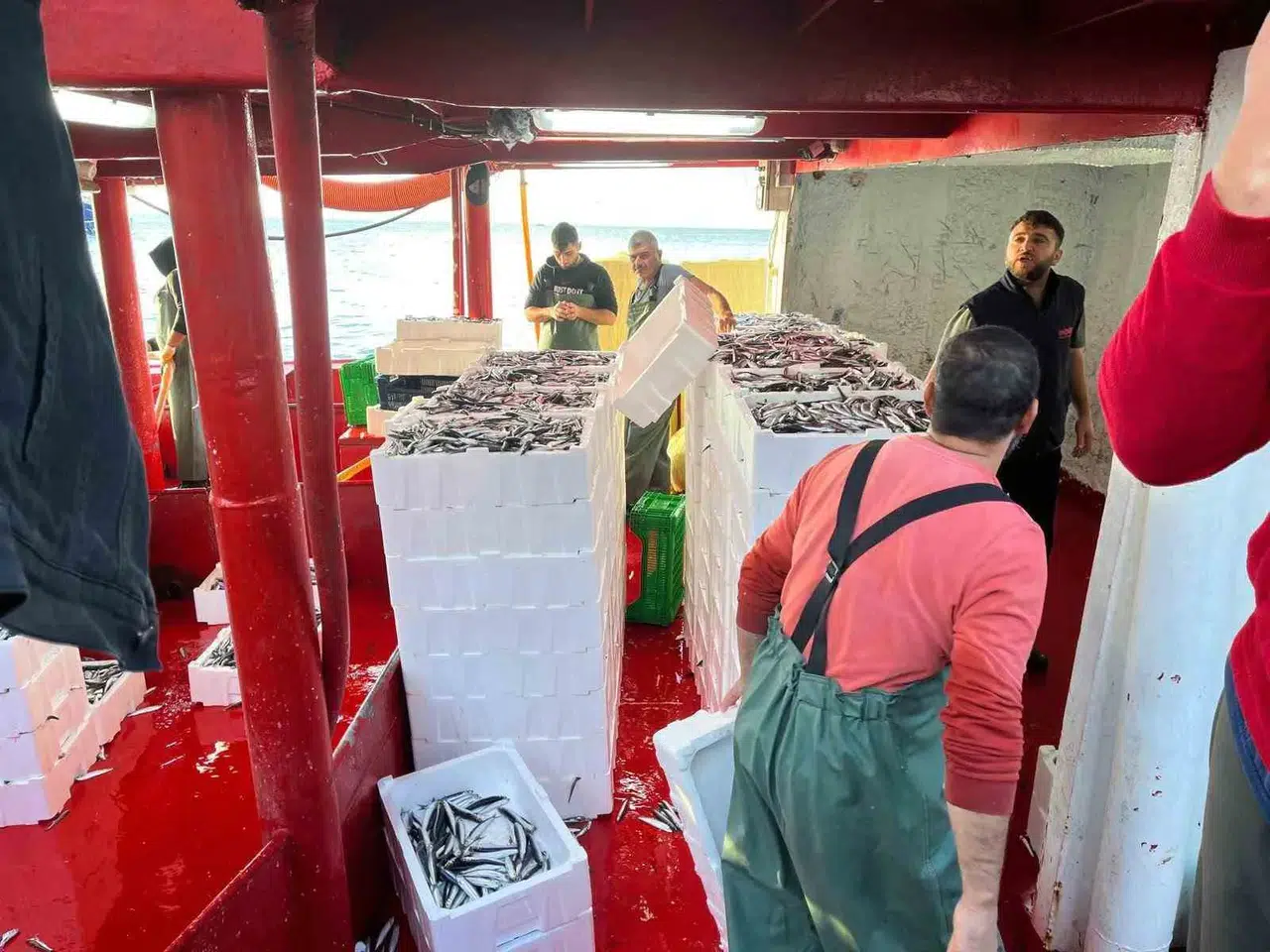 Didim sularında hamsi nöbeti: Bakanlık talimatıyla sıkı takip
