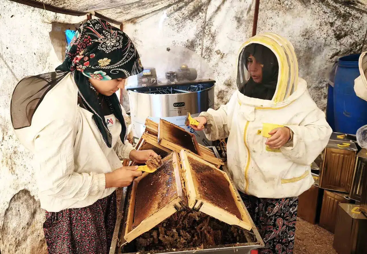 Çam balının merkezinde sahte ürün isyanı: Emeğimizin karşılığını alamıyoruz