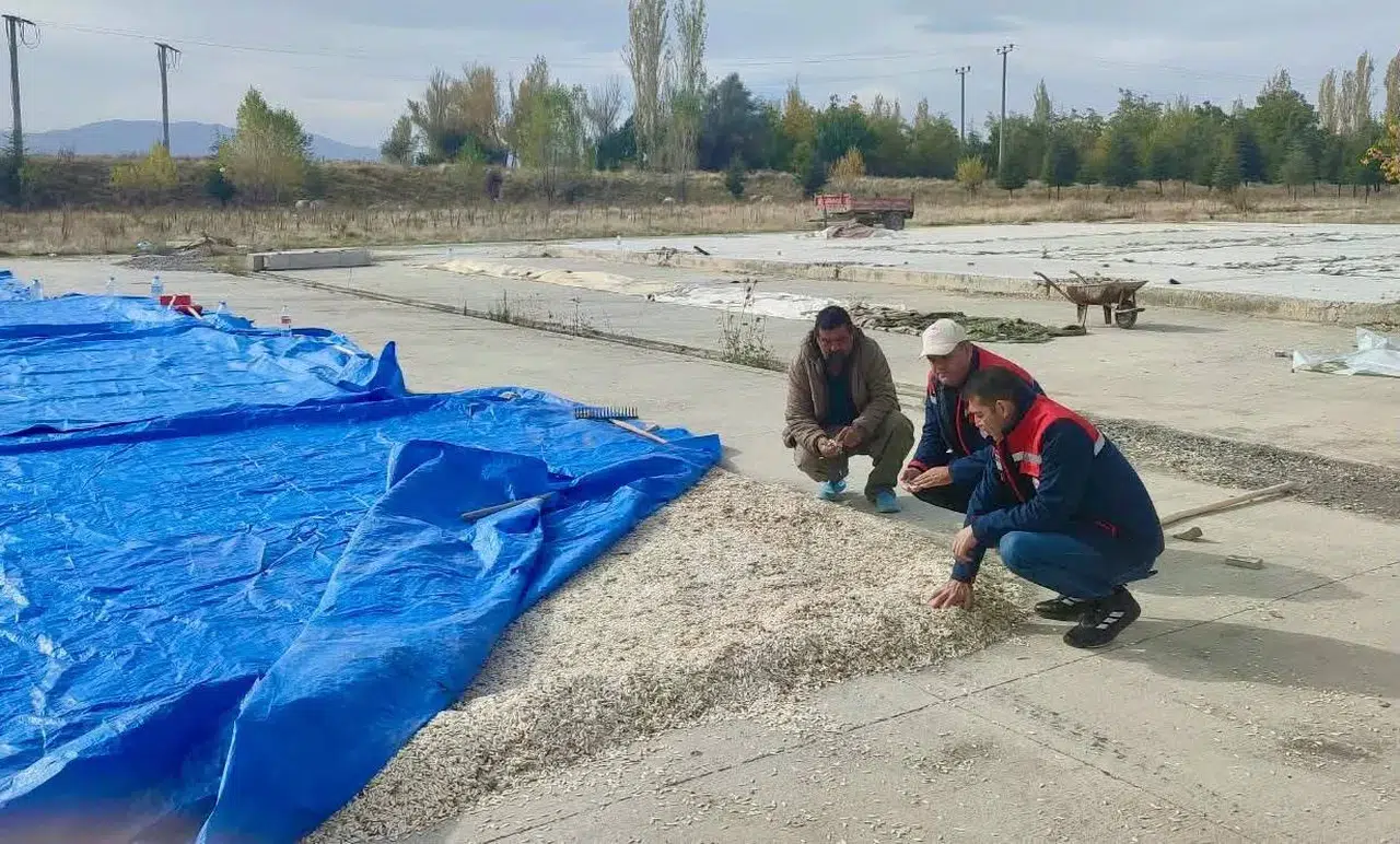 Çay ovasında tarımsal mesai: Üreticinin tarlasındaki sorunlar mercek altına alındı