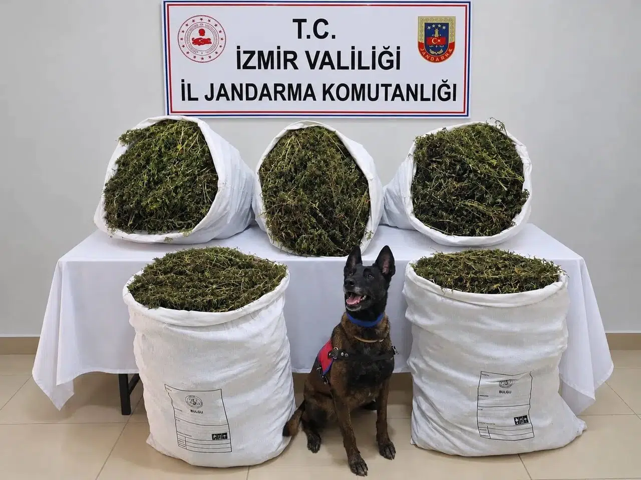 Tire’de jandarmadan zehir tacirlerine geçit yok: 54 kilo esrar ele geçirildi
