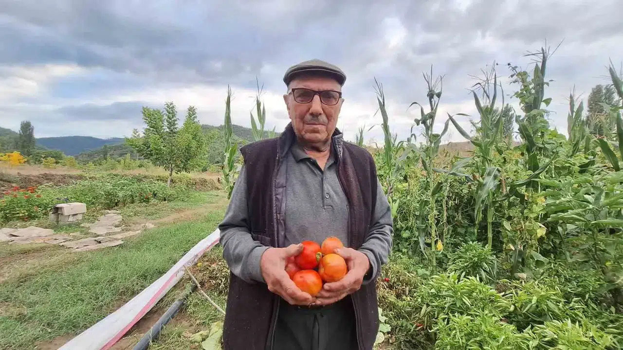 Manisa'da bir gelenek: Dededen kalan tohumlarla toprağı bereketlendiriyor