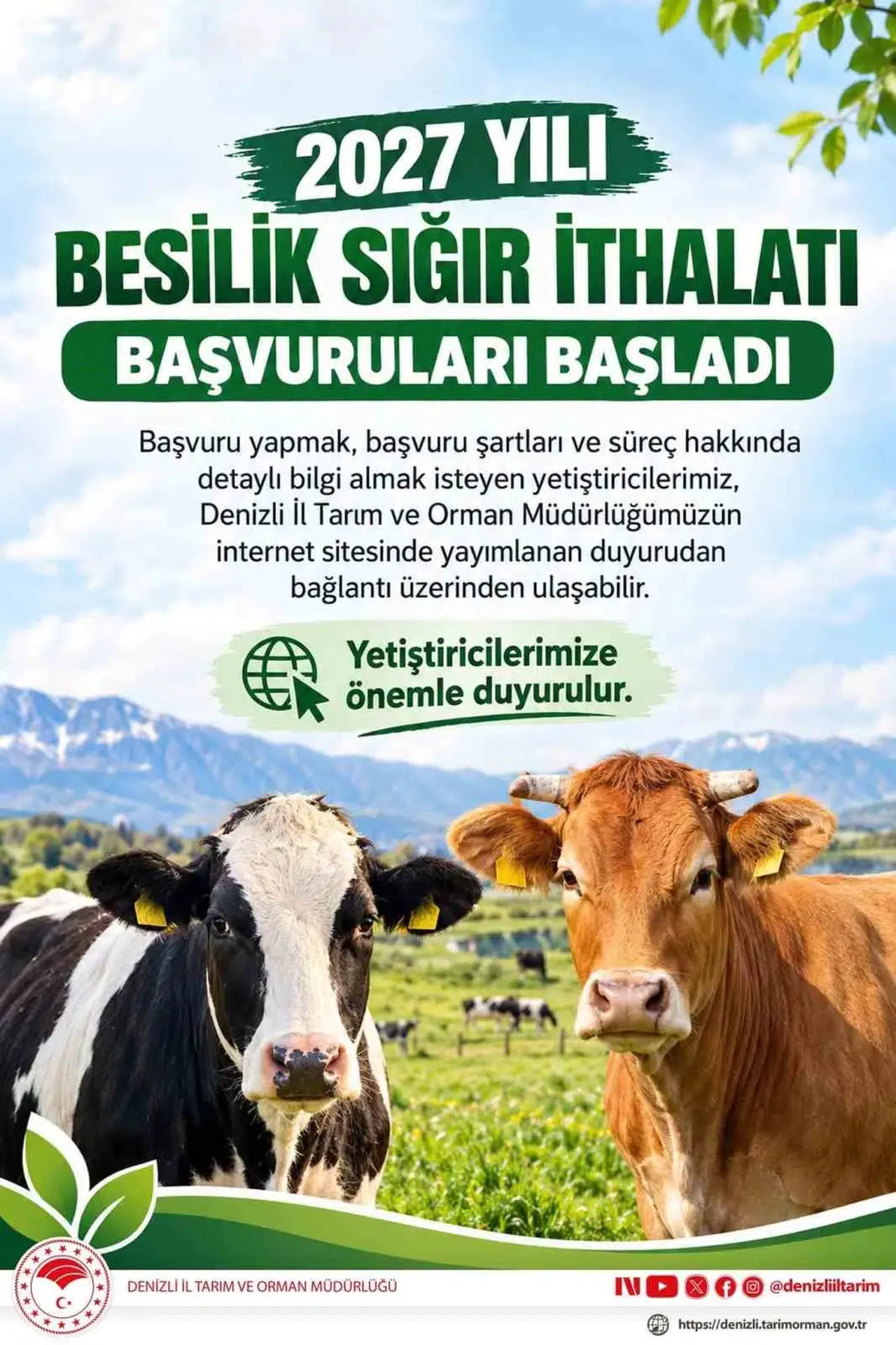 Besilik sığır ithalatında takvim işliyor: 480 bin baş için kritik başvuru süreci başladı