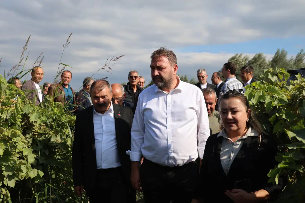 Gümrükçü: “Tatlı Üzümde Acı Fiyat Olmaz, Alım Fiyatı Derhal 150 Liraya Çıkarılmalı”