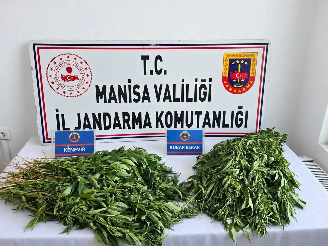 Manisa'da zehir tacirlerine jandarma darbesi: 4 ilçede eş zamanlı operasyon
