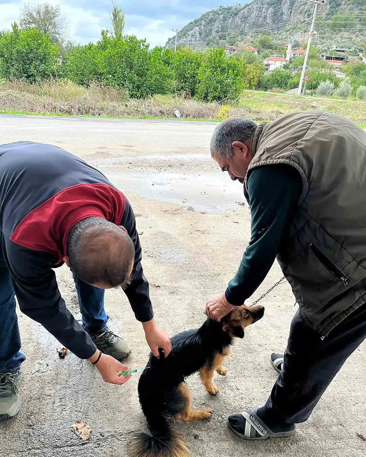 Ortaca’da can dostlar için kritik hamle: Kuduz riskine karşı kalkan oluşturuldu