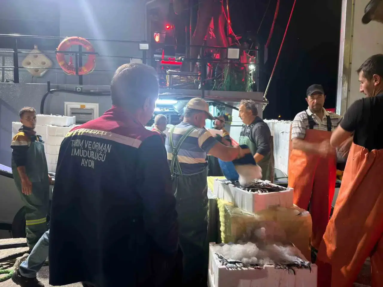 Didim'de denizlerdeki hamsi bereketi için sıkı takip: Ekipler sahaya indi