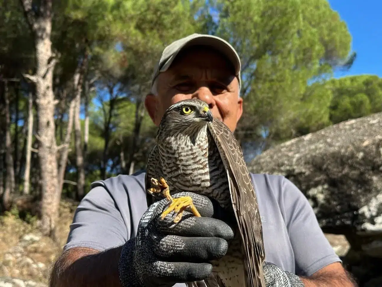 Kuşadası'nda yaban hayatı için seferberlik: İki canlı daha özgürlüğüne kavuştu