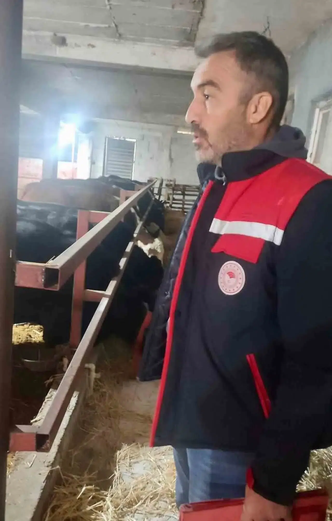 Dinar’da ithal hayvanlar mercek altında: Saha denetimleri sıkılaştırıldı