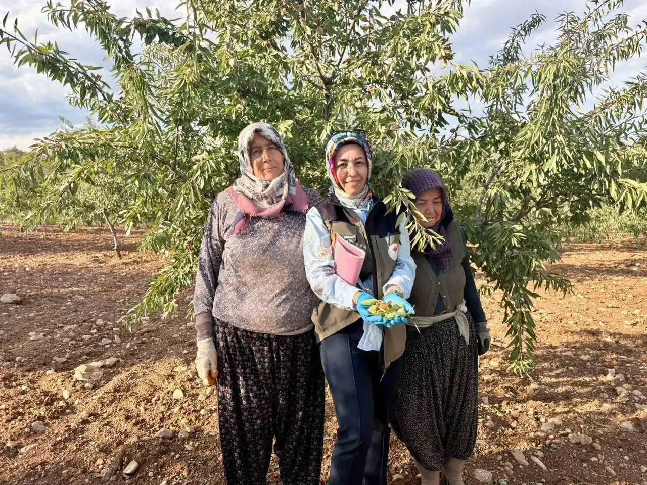 Afyonkarahisar’da tarım seferberliği: Meyve bahçeleri mercek altına alındı