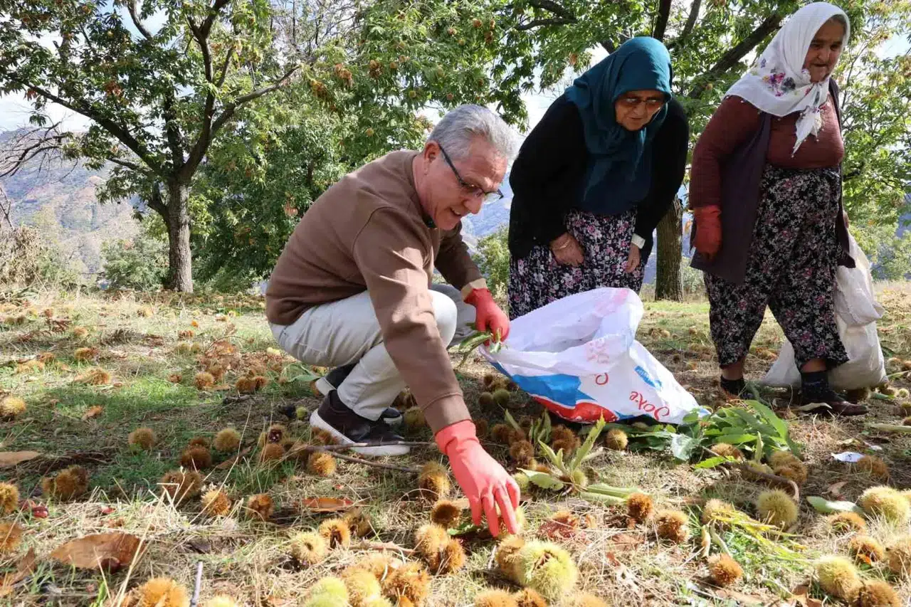 Nazilli’nin kestane üreticisine Başkan Tetik’ten kalkınma sözü