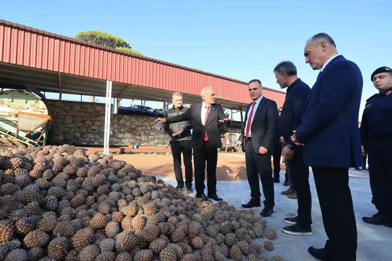 Muğla ekonomisinin gizli kahramanları Vali Akbıyık'ı ağırladı: Çam fıstığında hedef verimi artırmak