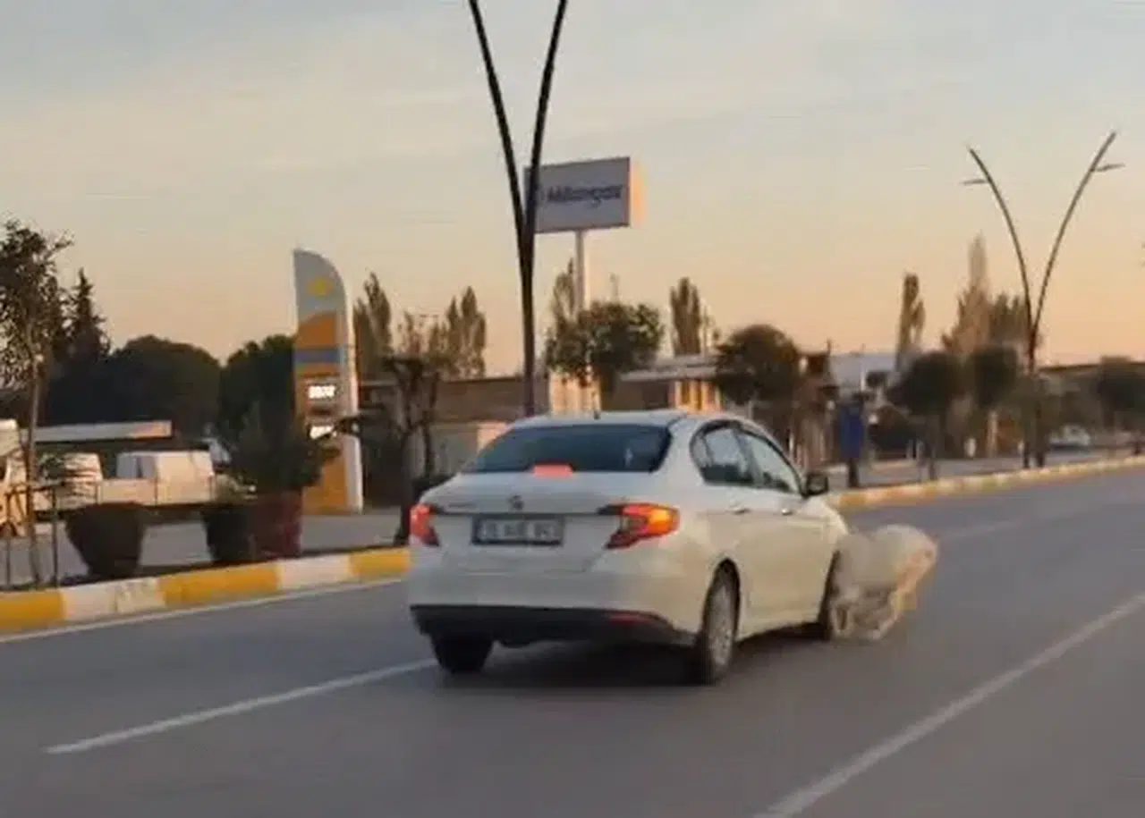 Akhisar yolunda acı kaza: Sürü aniden yola fırladı