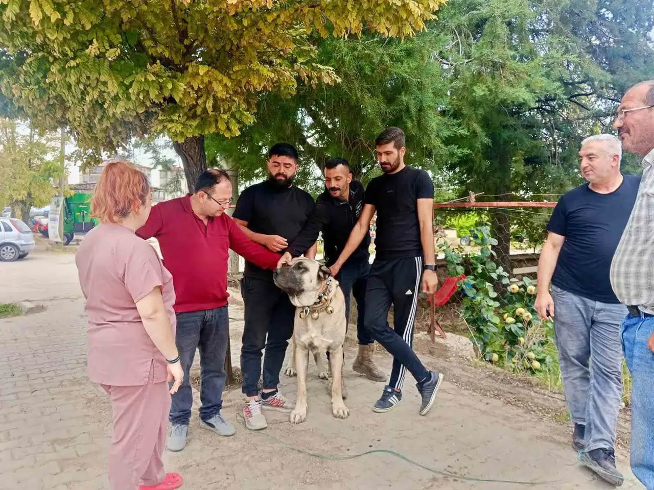 Başmakçı’da patili dostlara dijital kimlik dönemi