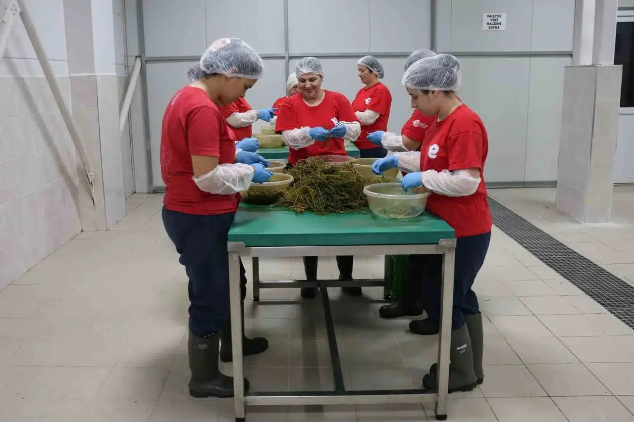 Efeler'in mutfağından dünyaya açılan lezzet kapısı: Ürün gamı 63 çeşide çıktı