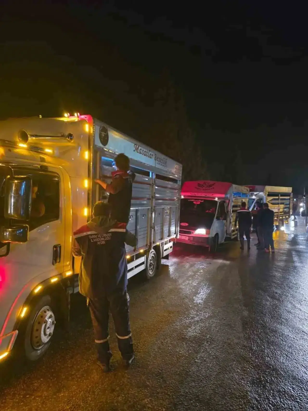 Çine’de hayvan ticareti için yeni dönem: Pazara girişlerde sıkı denetim