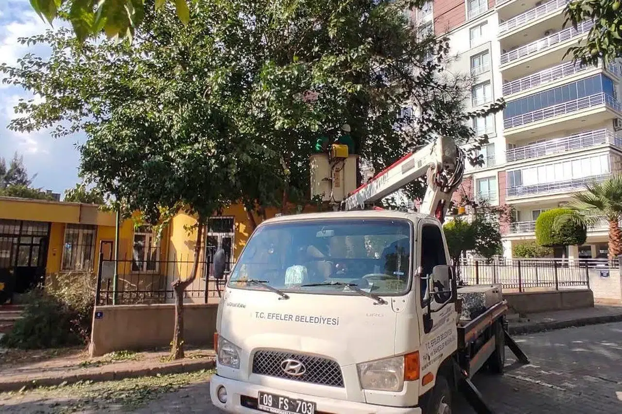 Efeler’de yeşil seferberlik: Parklar yaza hazırlanıyor