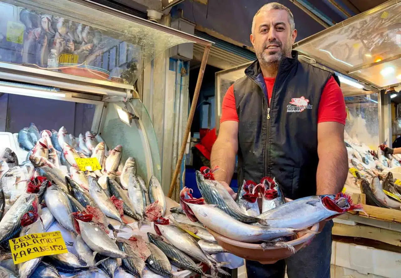 İzmir sofralarında palamut bayramı: Fiyatlar 20 yılın dibini gördü