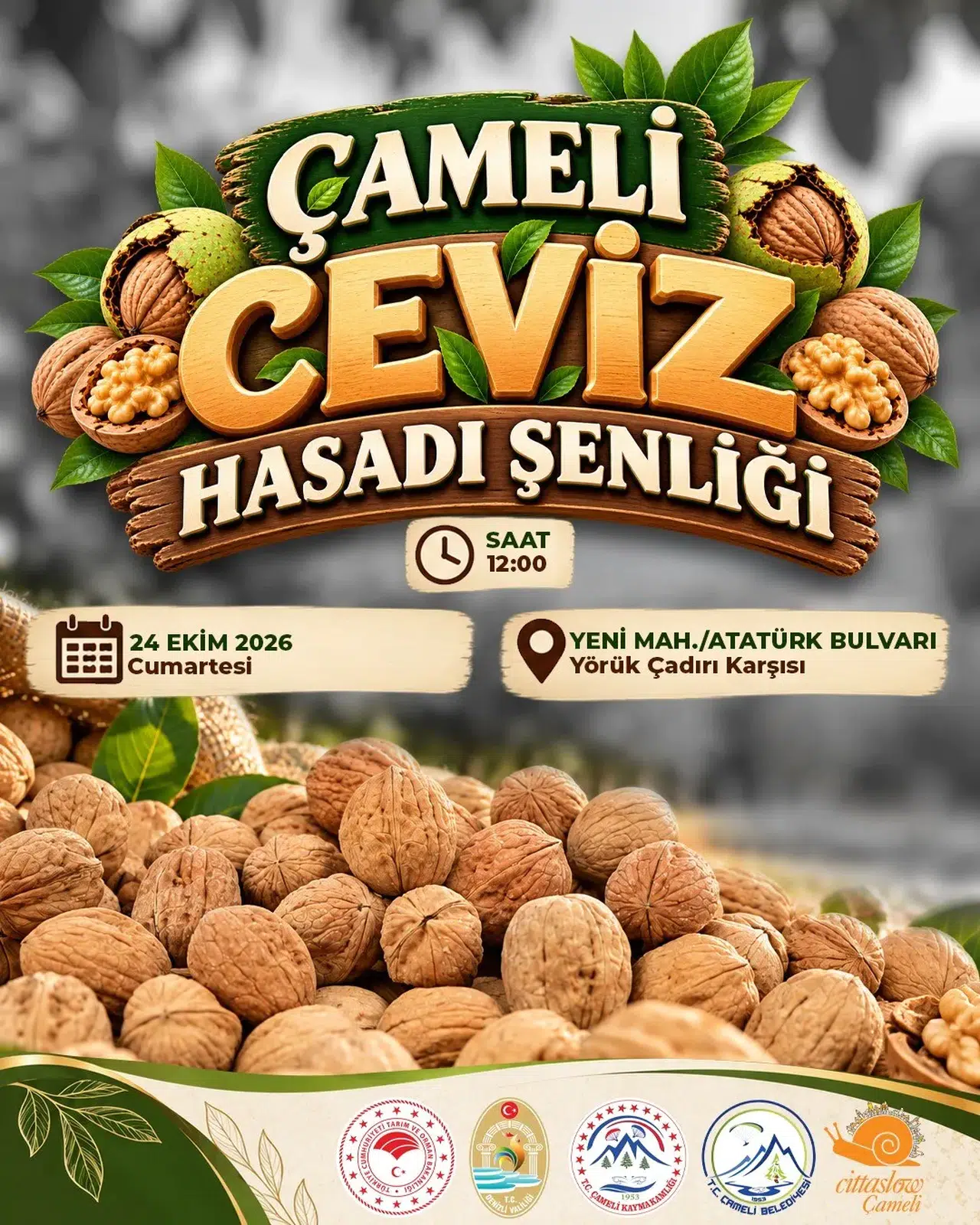 Çameli’de hasat vakti: Ceviz üreticisi festivalle taçlanıyor