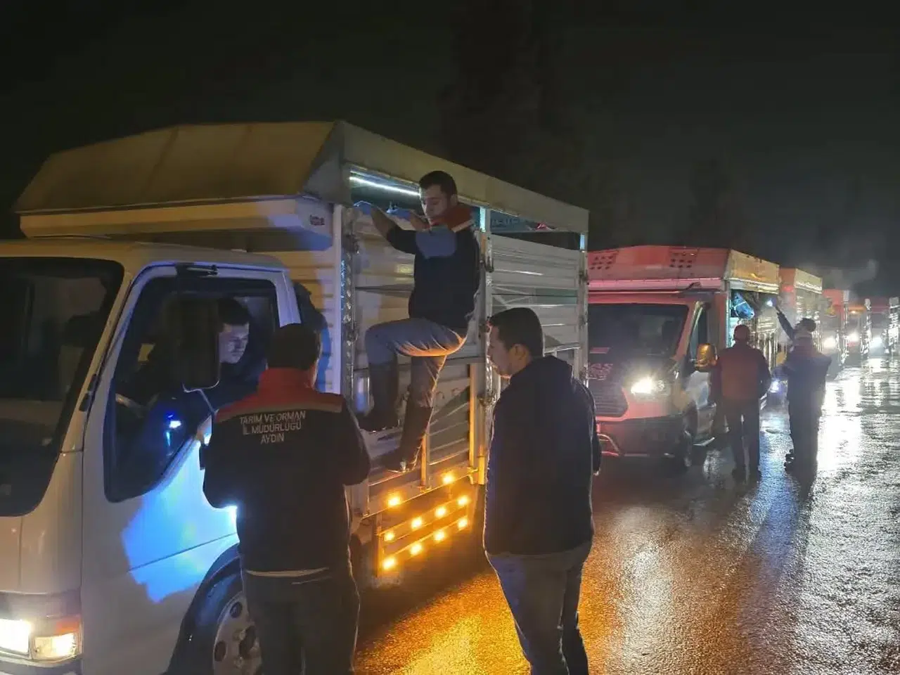 Aydın’da hayvan pazarlarında sıkı takip: Belgesiz girişe geçit yok