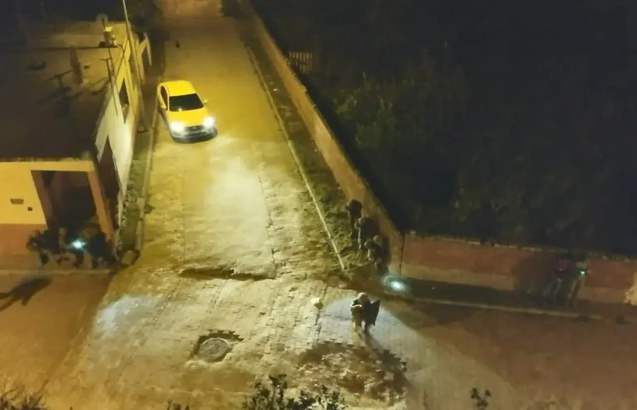 Ege'de zehir tacirlerine dev şafak baskını: 111 gözaltı