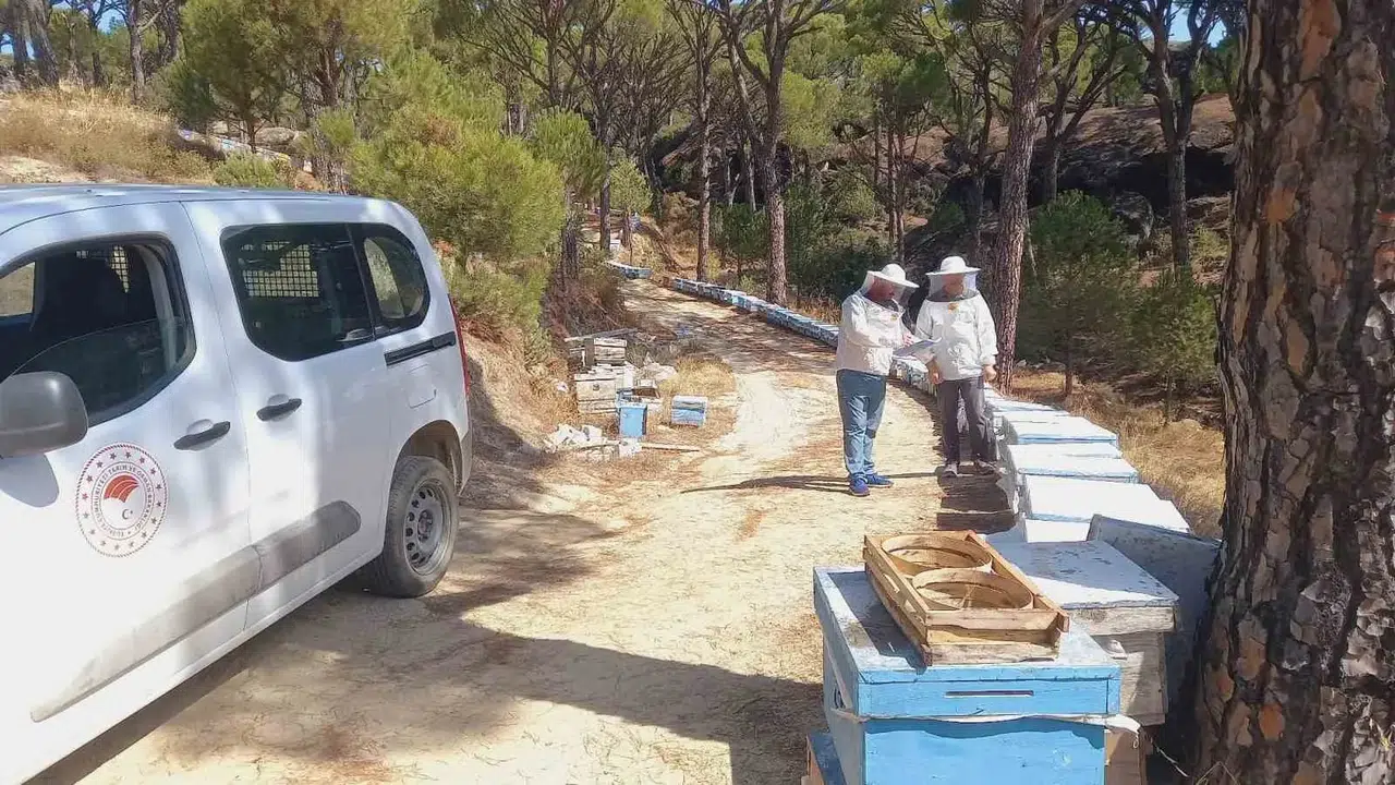 Bozdoğan’da bal üreticisinin yüzünü güldürecek adım: Kovanlar tek tek inceleniyor