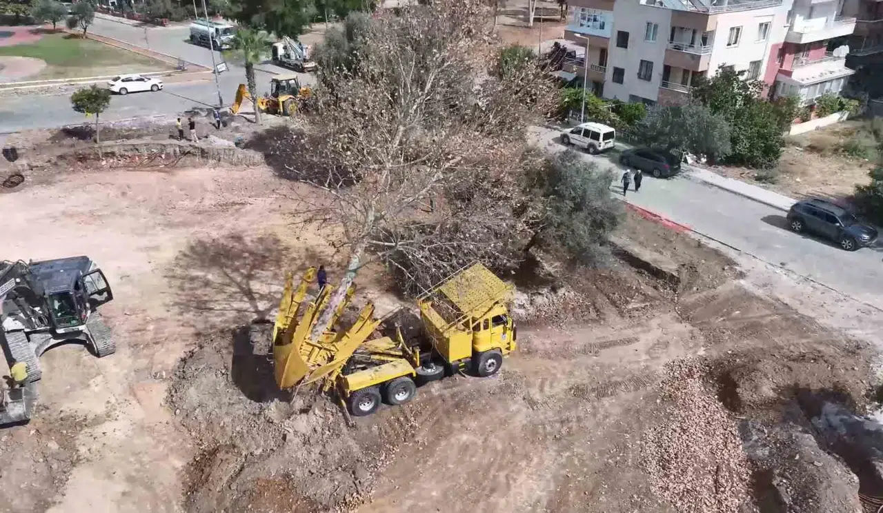 Didim'de spor yatırımı doğayla buluştu: Ağaçlara hassas dokunuş