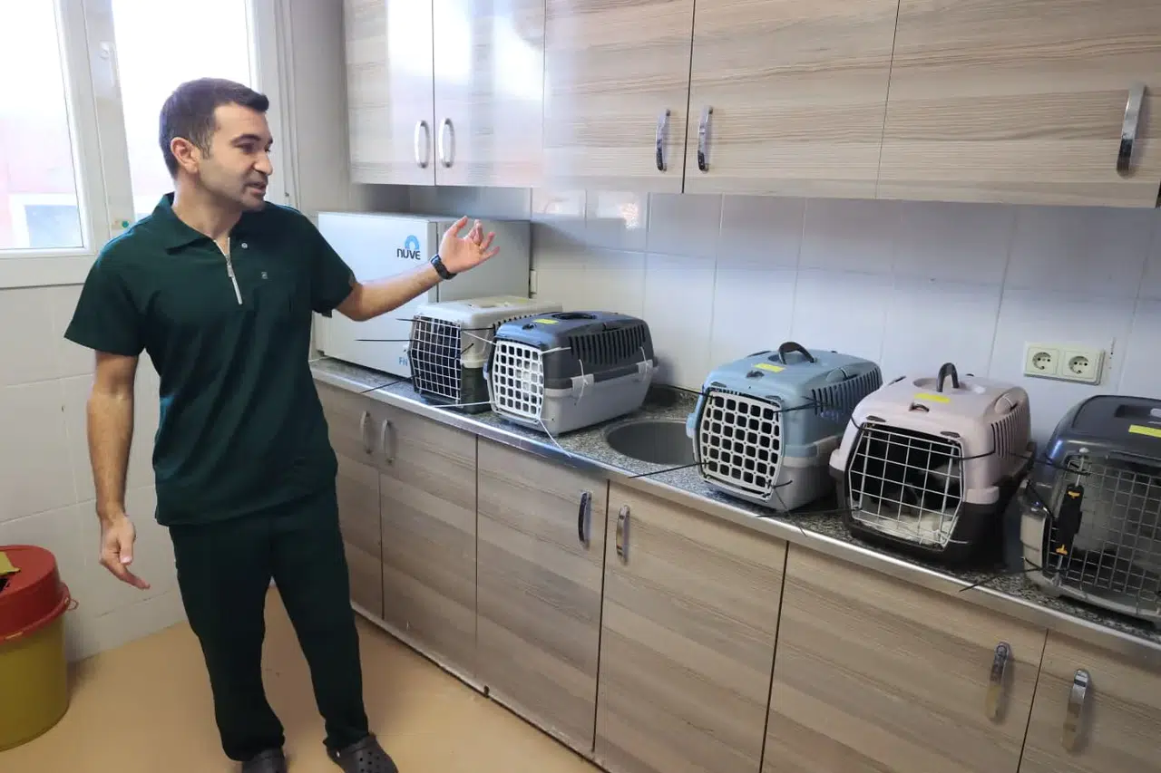 Buca Belediyesi'nden İddialara Yanıt Hayvanseverlerden Destek