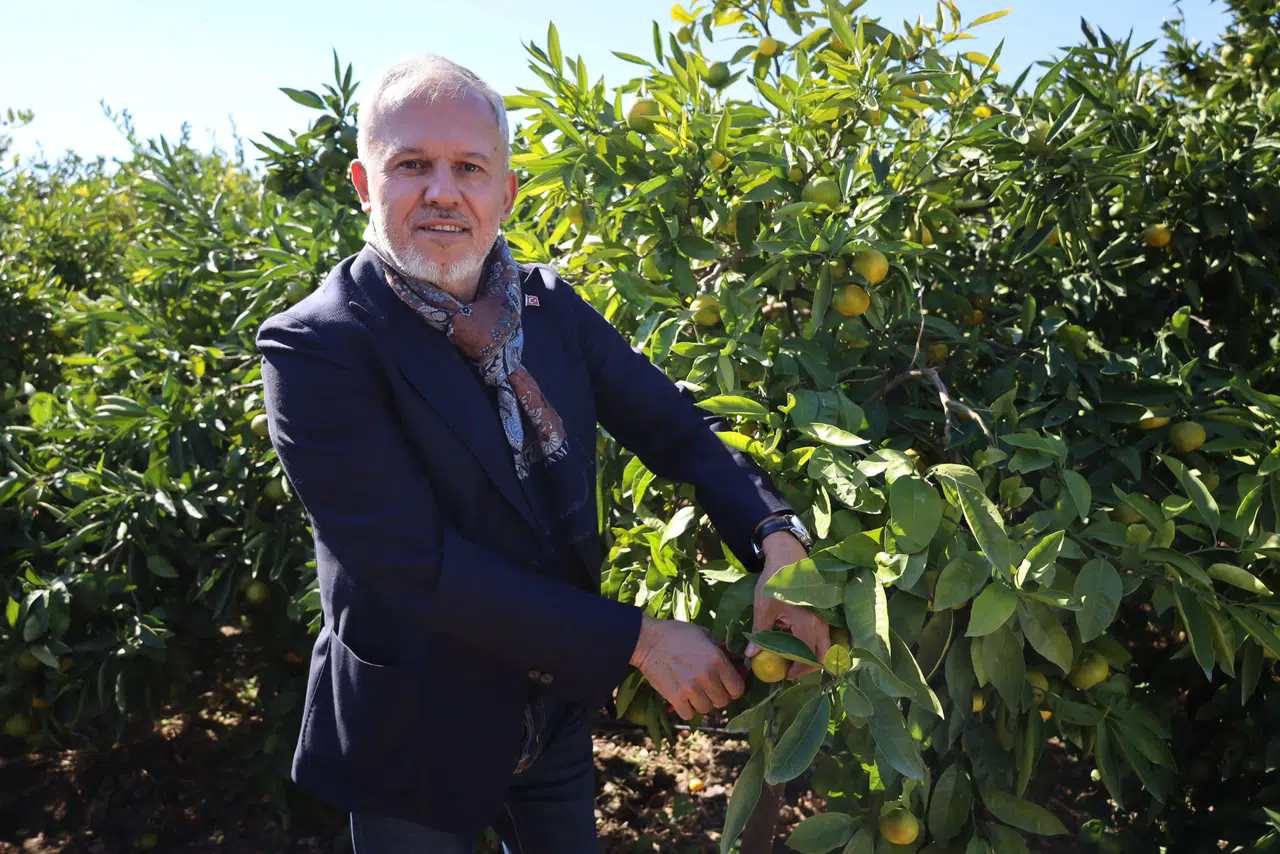 Satsuma mandalinanın ihracat yolculuğu başladı