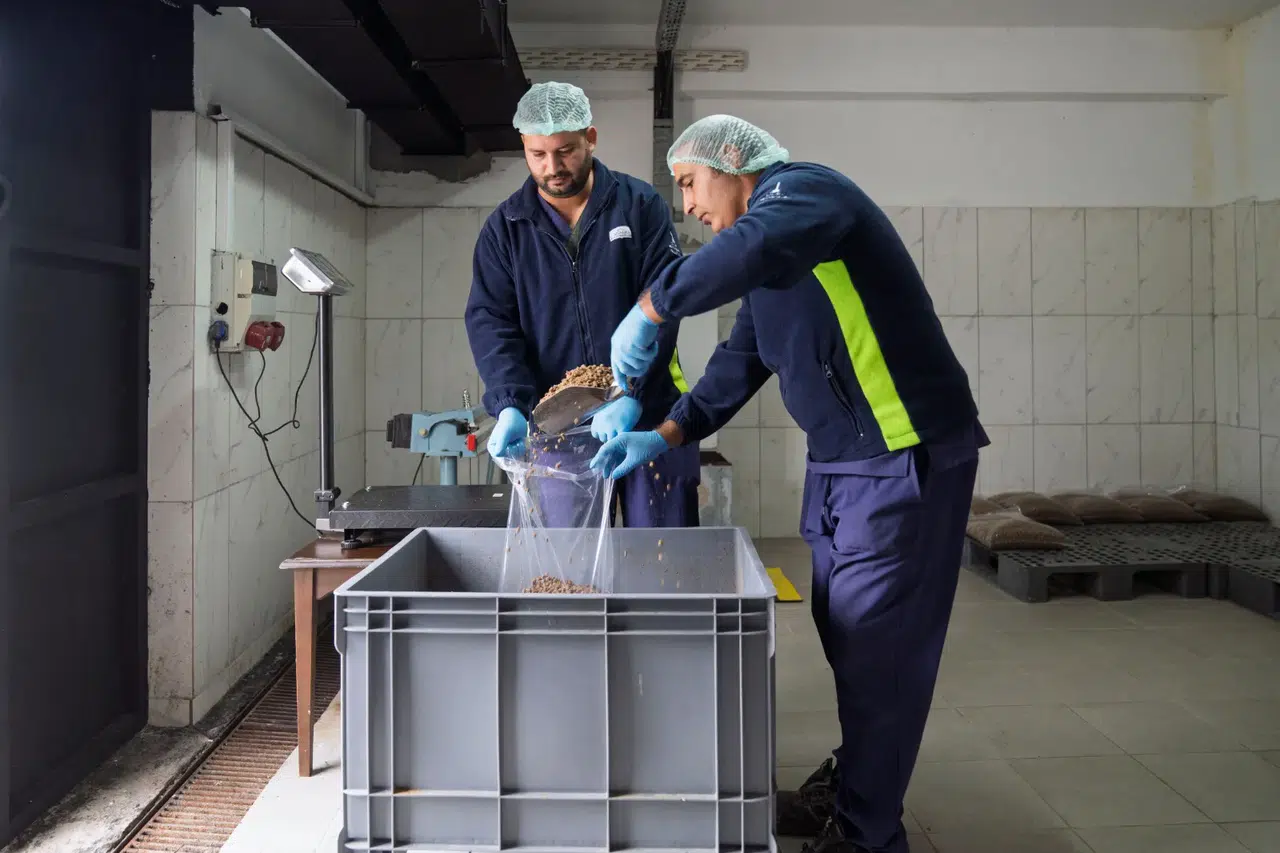 Büyükşehir sahipsiz canlar için kendi mamasını üretiyor: Hedef günde 1 ton