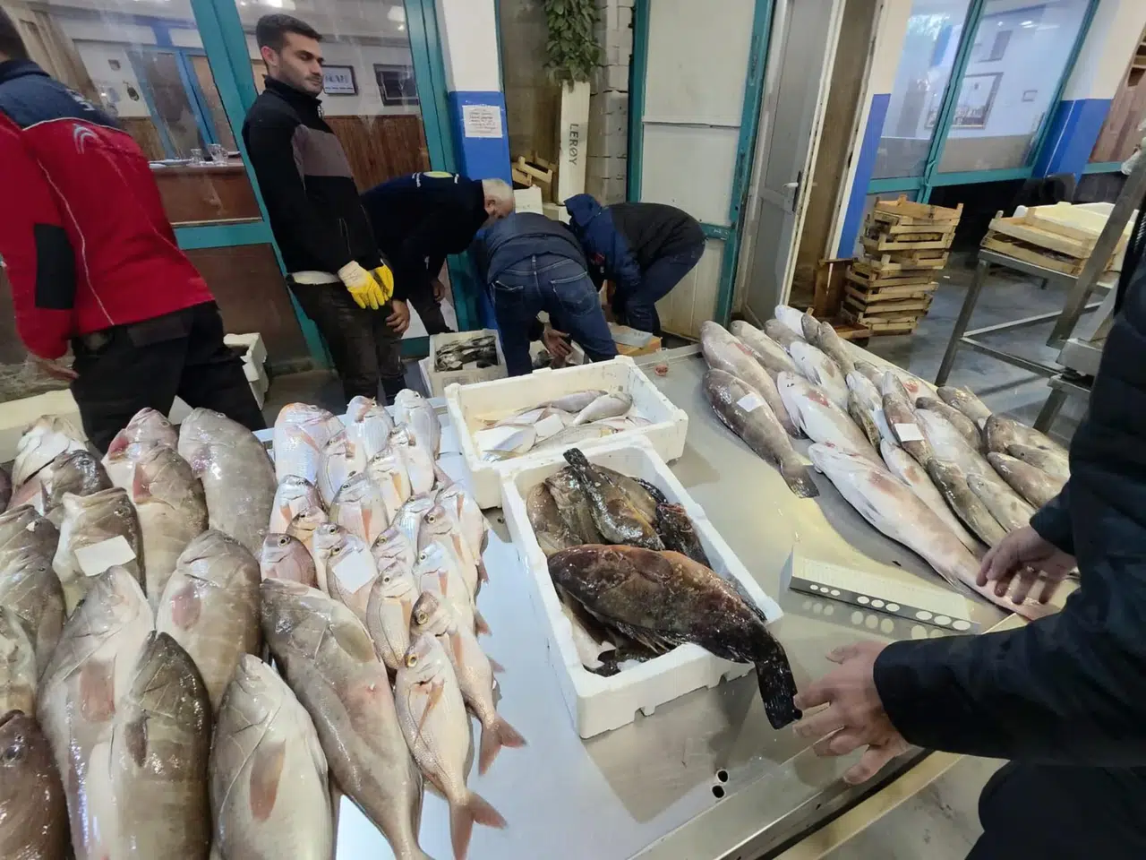Buca Balık Hali’nde Gece Denetimi: Yasadışı Avlanan Su Ürünlerine El Konuldu