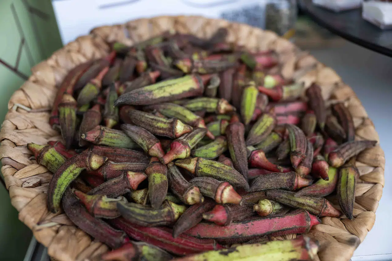 Gastrofest’te Bornova rüzgarı