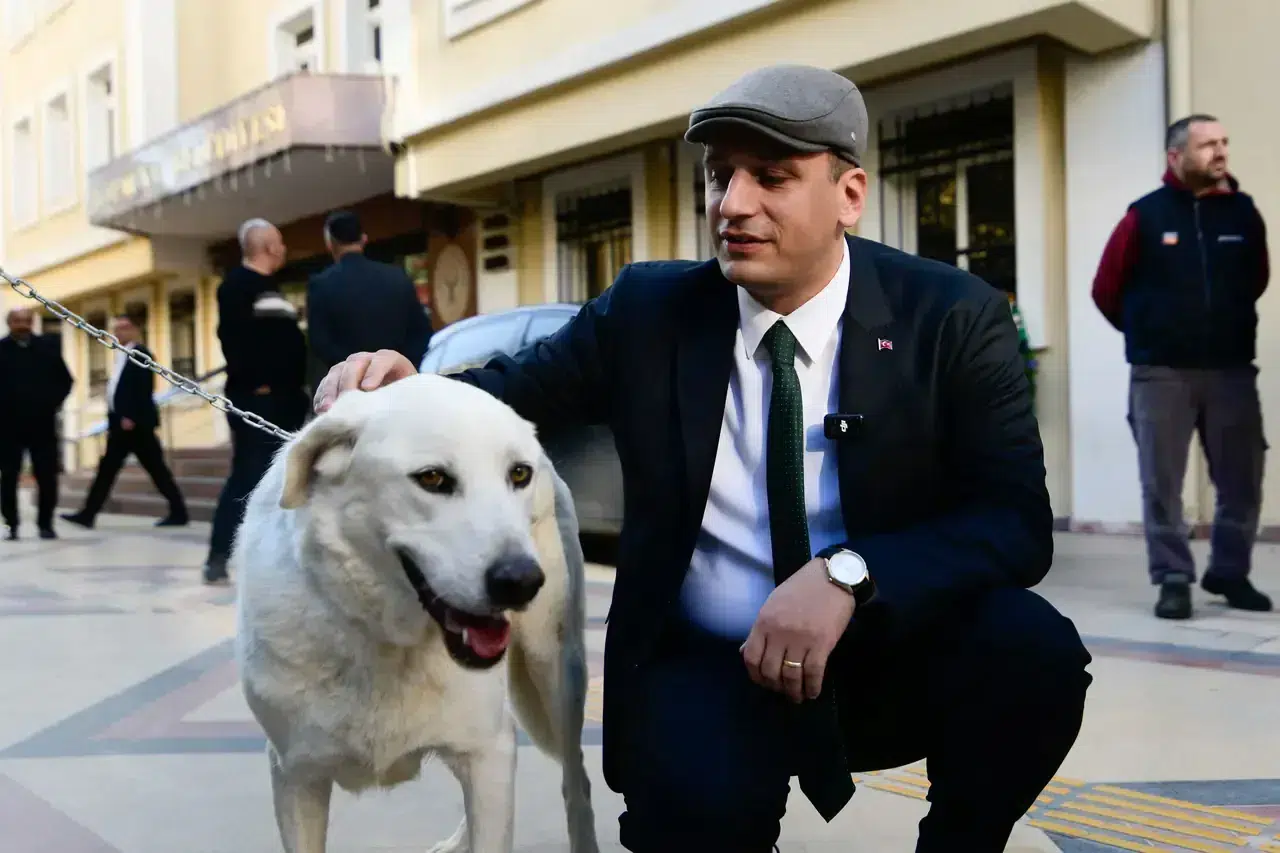 Bornova Belediyesi: Ege Üniversitesi'ndeki 83 köpek belediye yerleşkesine alındı