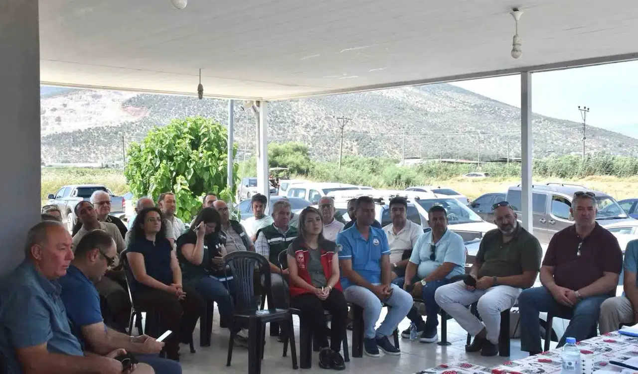 Milas balıkçılığında yeni dönem: Toprak havuzlar için kritik yol haritası