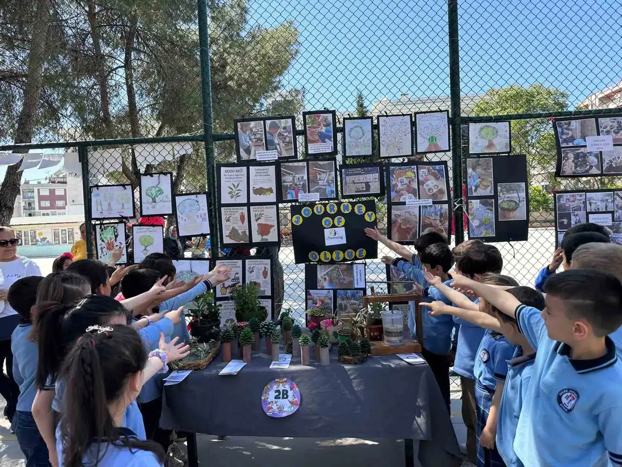 Minik ellerden zeytine vefa: Aydın’da hasat coşkusu sergiye dönüştü